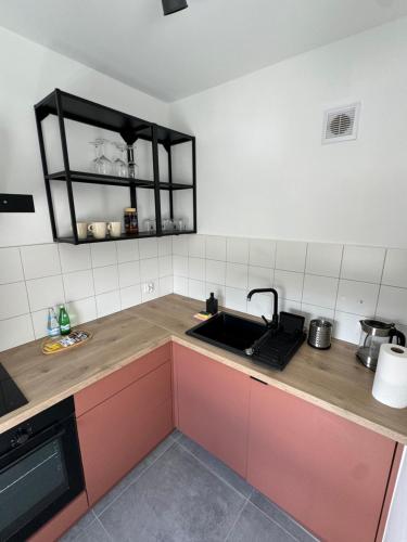 Dapur atau dapur kecil di Apartament Zgoda