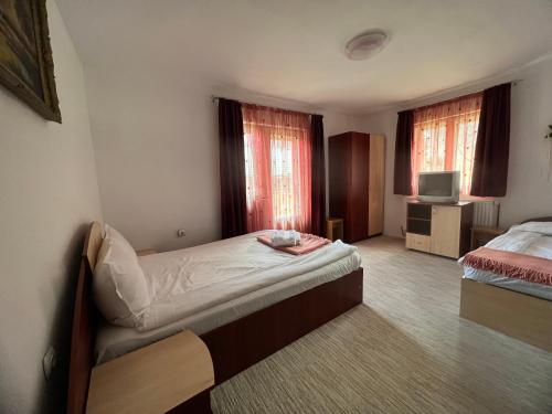 a hotel room with a bed and a television at Mont Crai in Zărneşti