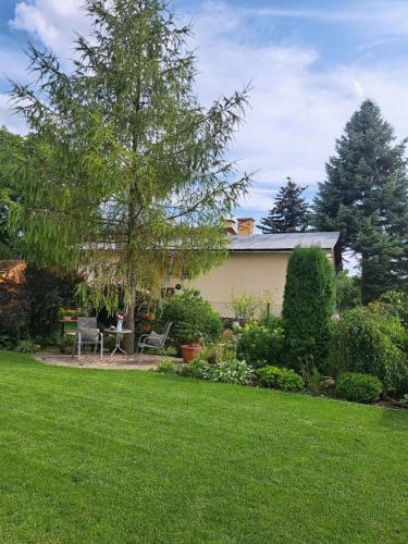 a yard with green grass and a house at Vila Harmónia in Turčianske Teplice
