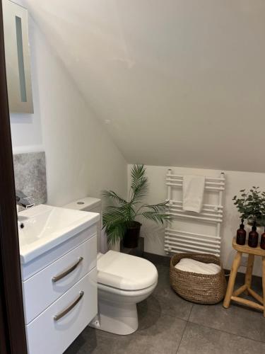 a white bathroom with a toilet and a sink at The Barn in Chichester
