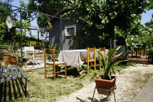 Κήπος έξω από το PODERE Sant'ANNA B&B - Chalet tra le vigne