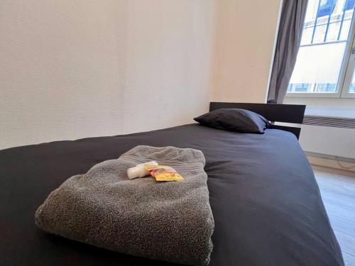 un lit avec une couverture et un animal rembourré dans l'établissement Studio 1 personne Au pied de la Citadelle, à Besançon