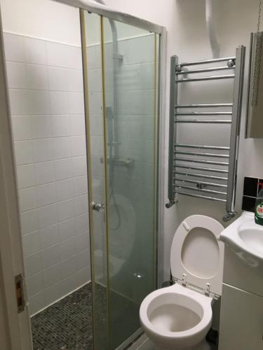 a bathroom with a toilet and a glass shower at Spacious duplex flat in London