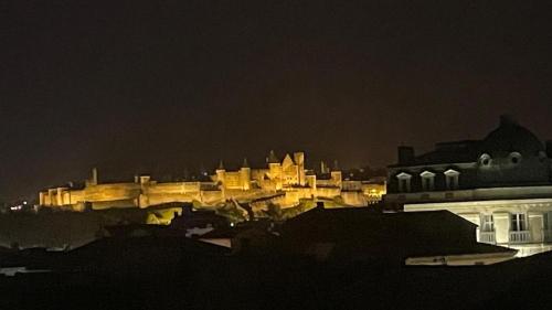 Le Jaffa vue sur la Cité