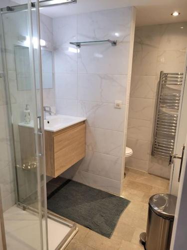 une salle de bain avec une douche, un lavabo et des toilettes dans l'établissement Maison entière en centre ville, à Saint-Maur-des-Fossés
