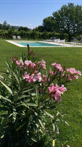 Giardino di B&B CAMPAGNON VALPOLICELLA