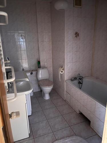 a bathroom with a tub and a toilet and a sink at Nassiena in Mierzyn