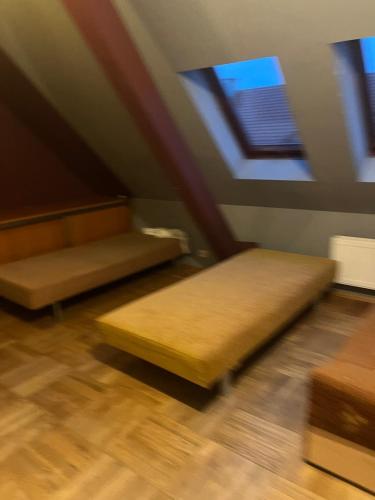 two beds in a room with two windows at Nassiena in Mierzyn