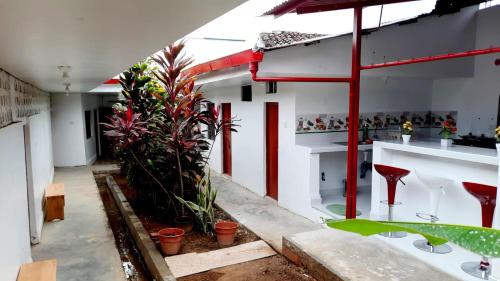 a room with some plants in a building at Casa San Martin Tarapoto in Tarapoto