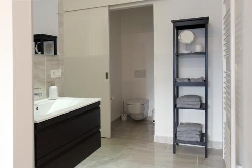 ein Bad mit einem Waschbecken und einem WC in der Unterkunft Parc Brussels Apartment in Brüssel