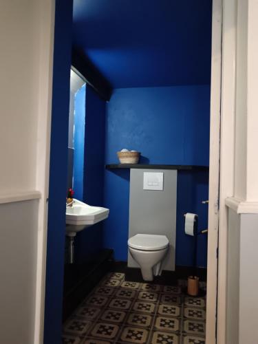 une salle de bain bleue avec des toilettes et un lavabo dans l'établissement Maison familiale centre-ville 4 chambres mezzanine, à Saint-Brieuc
