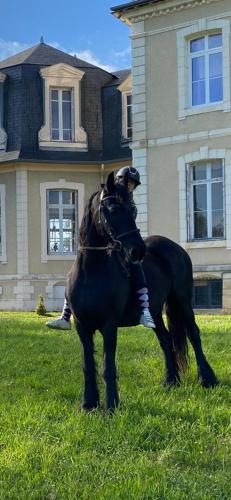 a person riding a horse in front of a house at Gite du parc du château de la Bouchatte in Chazemais