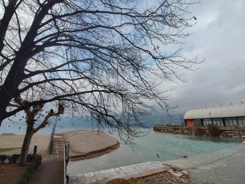 a body of water with a tree and a building at Casa Luisa in Bellano