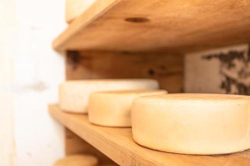 four slices of cheese on a wooden shelf at Seetalhof in Hollersbach im Pinzgau