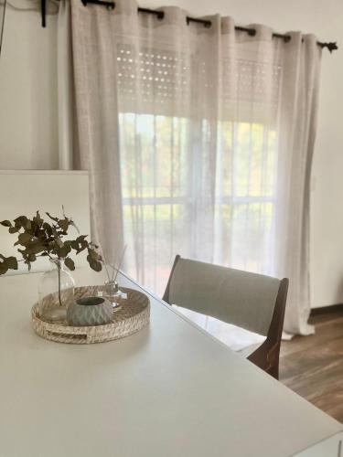 a white table with a plant on top of it at Viento Azul Guest House in Punta del Este