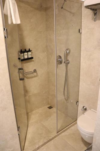 une cabine de douche dans une salle de bain avec toilettes dans l'établissement Riva Hotel Taksim, à Istanbul