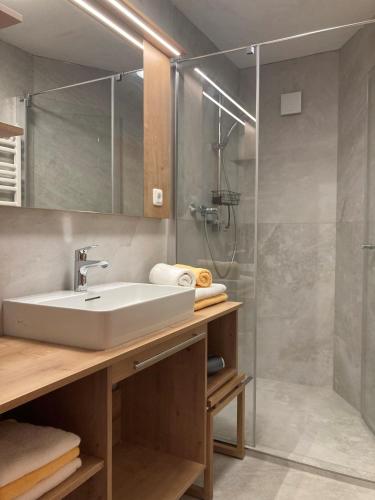 a bathroom with a sink and a shower at Knirschenhof in Windischgarsten