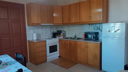 a kitchen with wooden cabinets and a white refrigerator at IthakiHouse II in Vathi, Ithaka