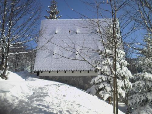 Holiday Home Kragovic talvel