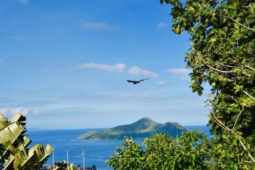 a plane flying in the sky over the ocean at Maison de Jardin Villa in Victoria