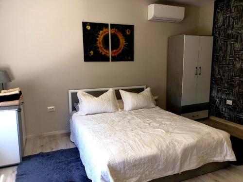 a bedroom with a bed and a picture on the wall at Lina Gio Apart in Karlovo