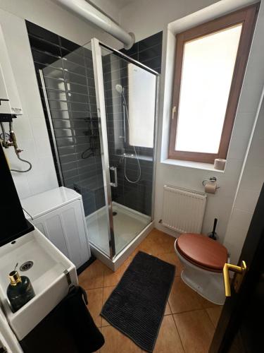 Koupelna v ubytování City Center Apartman Győr