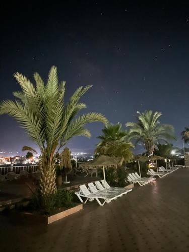 a row of white lounge chairs and palm trees at night at L'oliveraie D'amizmiz in Amizmiz