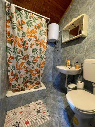 a bathroom with a toilet and a shower curtain at Roman Arch- low budget doublebed room in top center in Pula