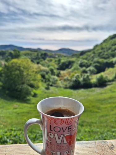 a cup of coffee sitting on a table with a view at Etno kuća Ostrvica in Varnice