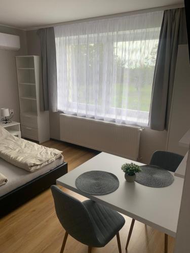a room with a table and chairs and a bed at Garden Apartments in Kráľovský Chlmec