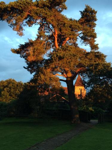 a tree in a field with a house in the background at The Dairy light and relaxing in Guestling