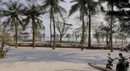 a group of motorcycles parked in a park with palm trees at Hon Ngu Hotel Cua Lo Beach in Cửa Lò