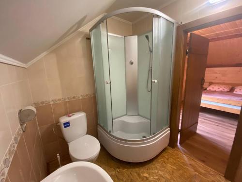 a bathroom with a glass shower and a toilet at Відпочинок в Карпатах in Nizhne-Studënyy