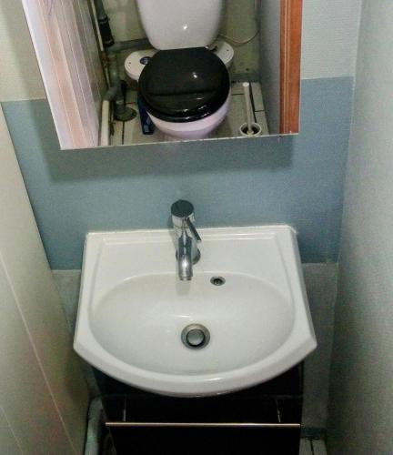 une salle de bain avec un lavabo blanc et des toilettes dans l'établissement Logement privé dépendance, à Livry-Gargan