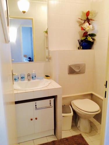 ゴルフ・ジュアンにあるAppartment Plein Soleilのバスルーム(洗面台、トイレ、鏡付)