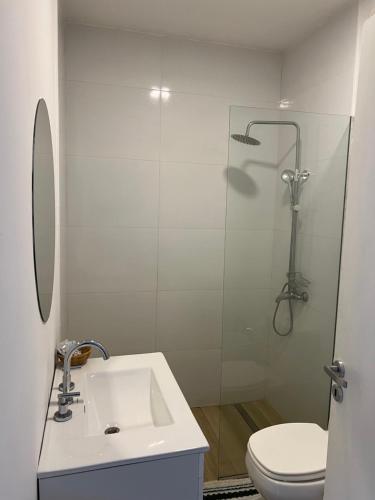 een badkamer met douche, wastafel en toilet bij Loft 3 11 de Abril in Bahía Blanca