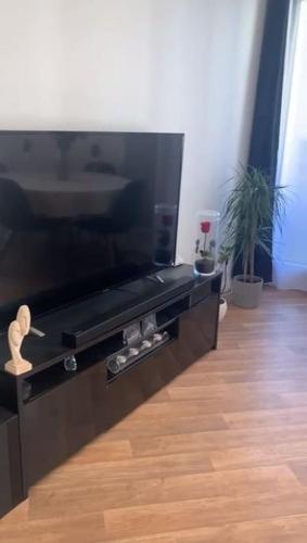 Appart entier 55m 2p et Parking