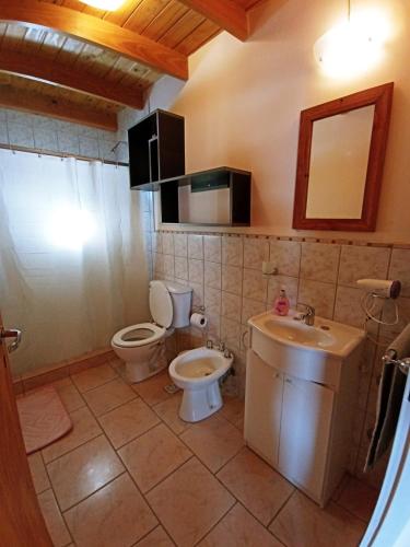 a bathroom with a toilet and a sink and a mirror at El Puente dptos in Caviahue