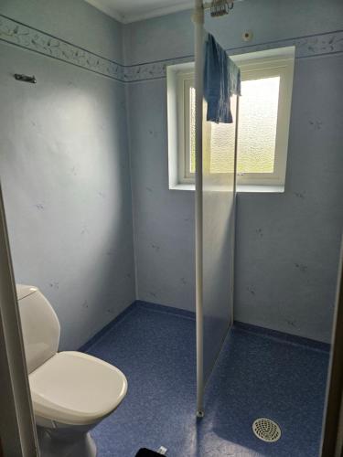 a bathroom with a toilet and a window at Örnsro Boende och Ställplatser in Skara
