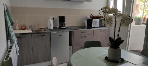 a kitchen with a table and a counter top at Le nid de Mary in Joux-la-Ville