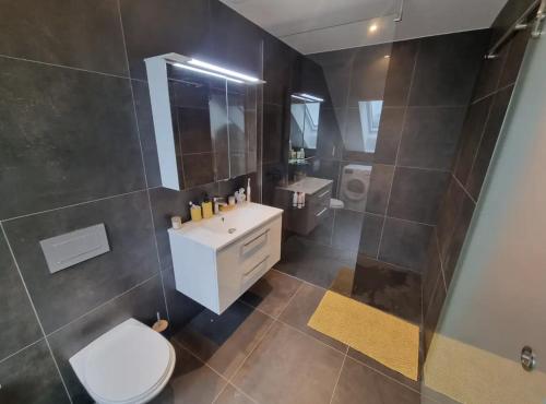 a bathroom with a toilet and a sink and a mirror at Maison neuve indépendante louée spécialement pour les vacances in Les Pléiades