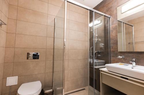 a bathroom with a shower and a toilet and a sink at Szent Anna Vendégház in Băile Tuşnad
