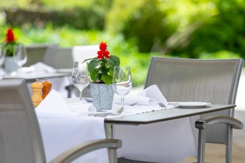 a table with glasses and a red flower in a vase at Tertianum Residenz Zollikerberg in Zollikerberg