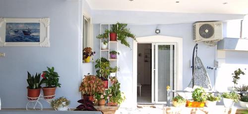 Sala apartment's