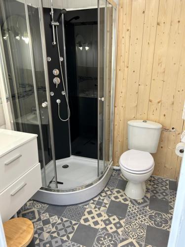 une salle de bain avec douche et toilettes dans l'établissement Jo et lo location, à Chastreix
