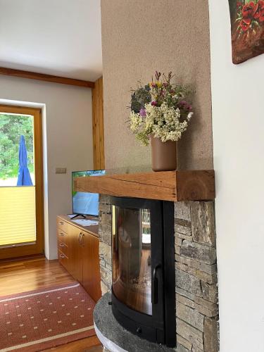 Μια τηλεόραση ή/και κέντρο ψυχαγωγίας στο Chalet Harmony Rogla - apartment