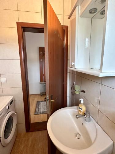 a bathroom with a sink and a washing machine at Banjski cvet in Vrnjačka Banja