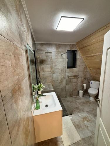 a bathroom with a sink and a toilet at Povestea din Munti in Arpaşu de Sus