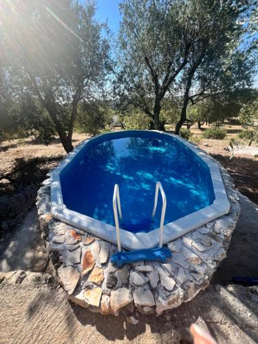 Gallery image of Syconium Trullo and Lamia Gea Charme and History in Ostuni