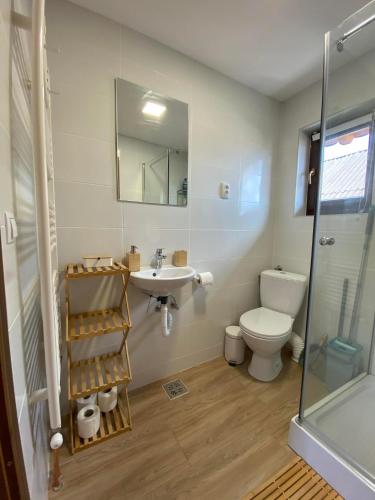 a bathroom with a toilet and a sink and a shower at Mi casa su casa in Lăzarea